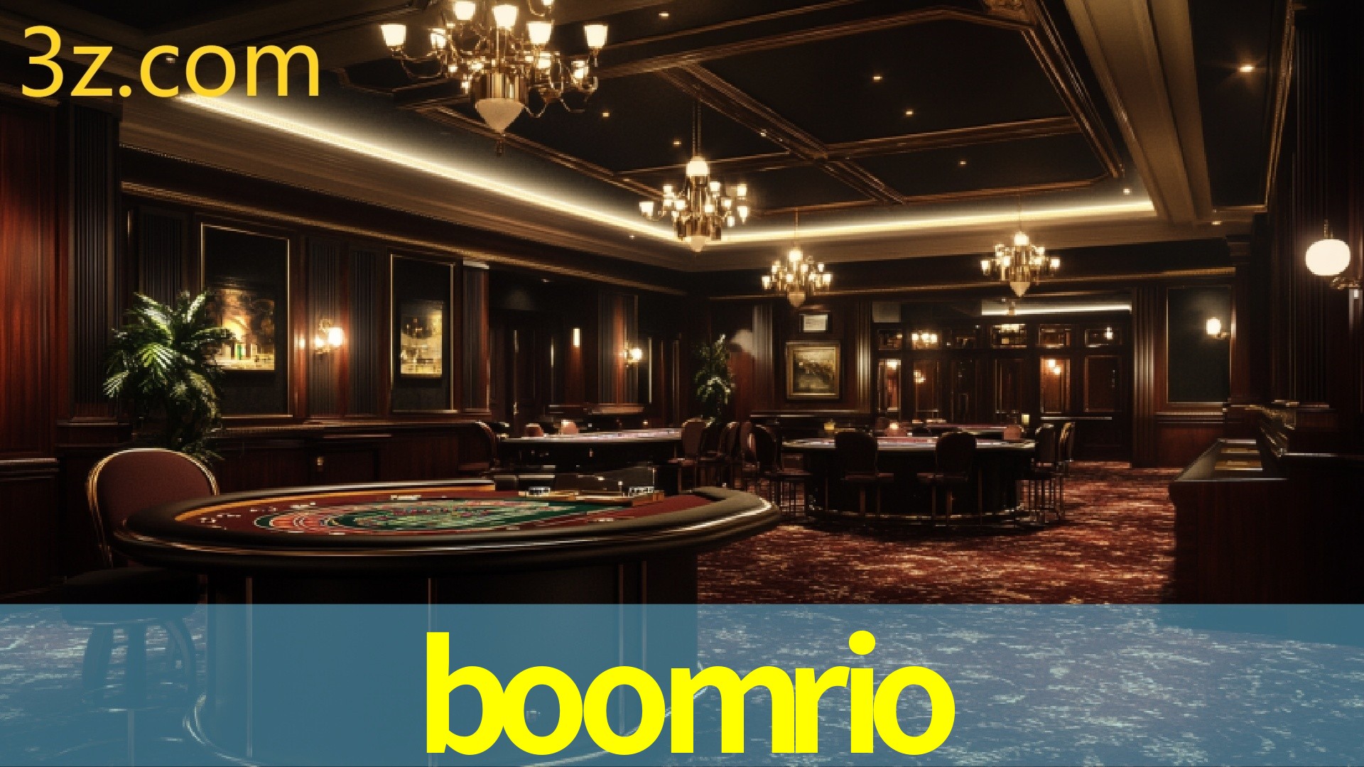 Platform Technology BOOMRIO